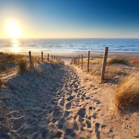 In Netherlands Near The Coast *